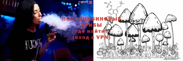 тгк Переславль-Залесский
